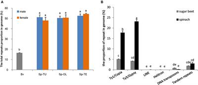 Genome-Wide Analysis of Transposable Elements and Satellite DNAs in Spinacia Species to Shed Light on Their Roles in Sex Chromosome Evolution